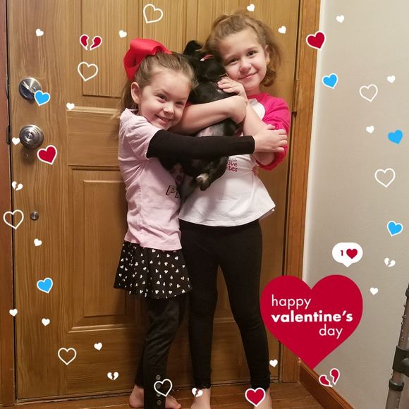 Meet your Posher, Mimi - Picture 1 of 1